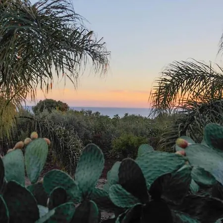 Casa Delle Palme Casa vacanze Isola di Ustica