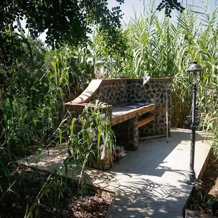 Casa Delle Palme