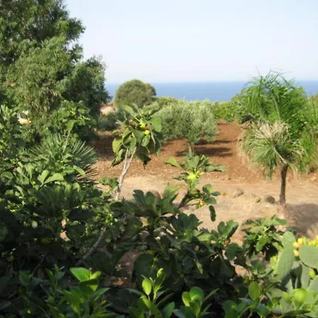 Casa Delle Palme